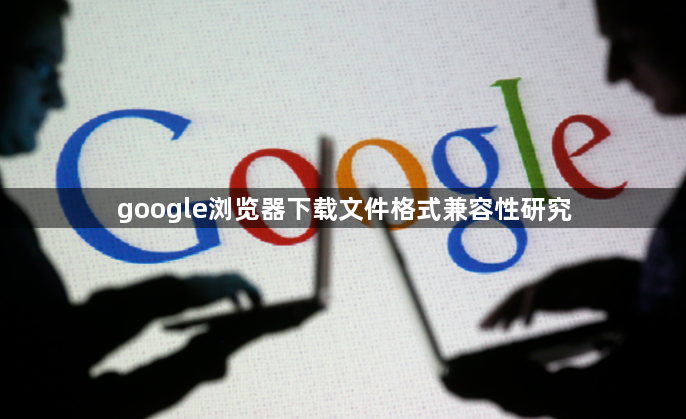 google浏览器下载文件格式兼容性研究1