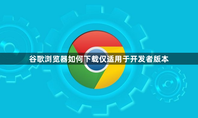谷歌浏览器如何下载仅适用于开发者版本1