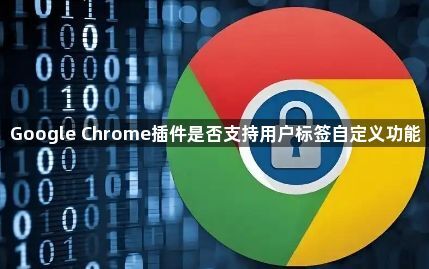 Google Chrome插件是否支持用户标签自定义功能1