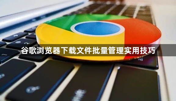 谷歌浏览器下载文件批量管理实用技巧1