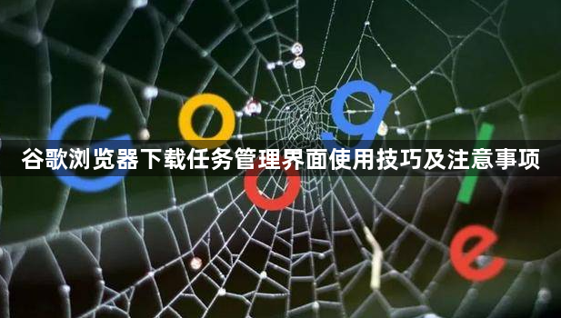 谷歌浏览器下载任务管理界面使用技巧及注意事项1
