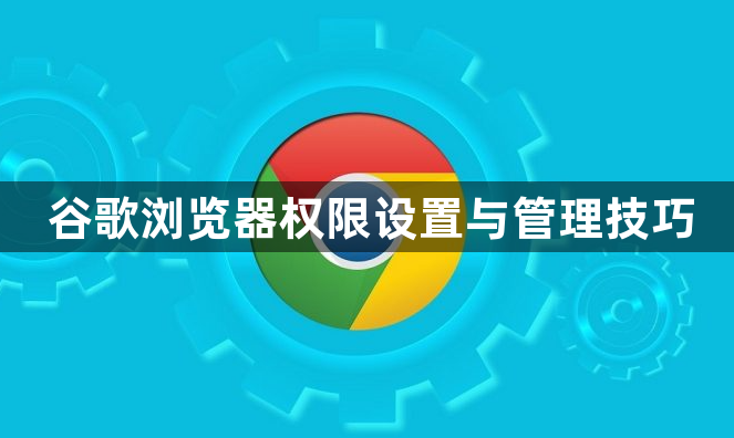 谷歌浏览器权限设置与管理技巧1