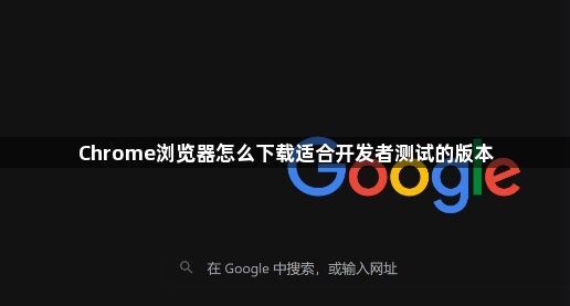Chrome浏览器怎么下载适合开发者测试的版本1