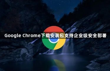 Google Chrome下载安装包支持企业级安全部署1
