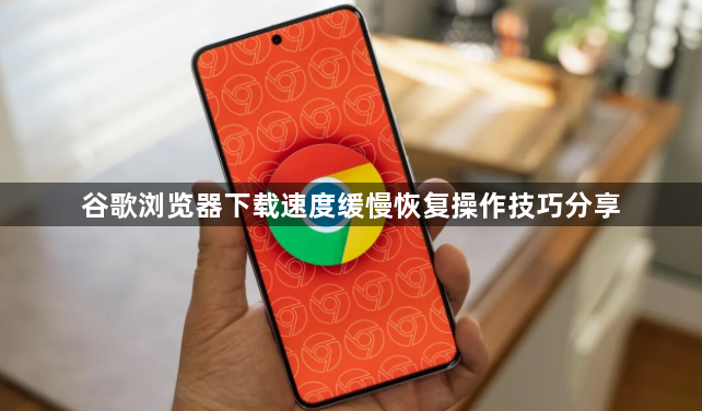 谷歌浏览器下载速度缓慢恢复操作技巧分享1