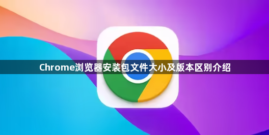 Chrome浏览器安装包文件大小及版本区别介绍1