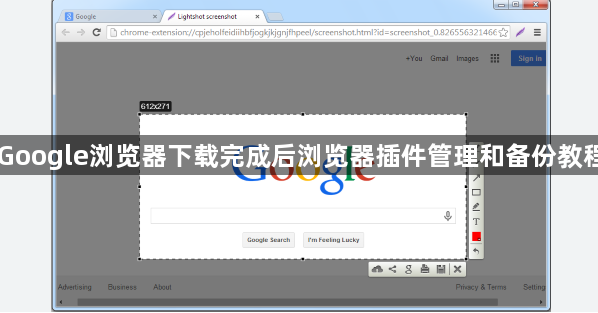 Google浏览器下载完成后浏览器插件管理和备份教程1