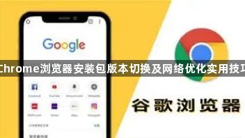 Chrome浏览器安装包版本切换及网络优化实用技巧1