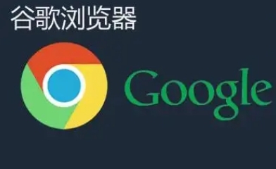 谷歌浏览器下载及插件配置实用教程