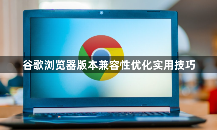 谷歌浏览器版本兼容性优化实用技巧1