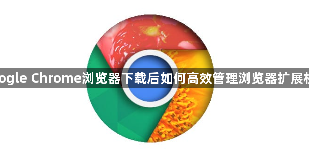 google Chrome浏览器下载后如何高效管理浏览器扩展权限1