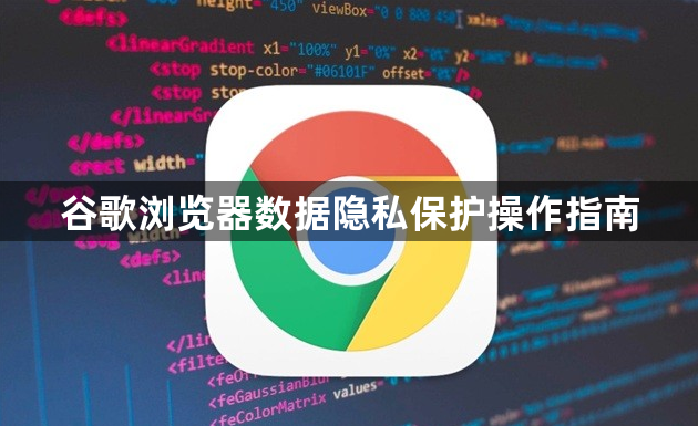 谷歌浏览器数据隐私保护操作指南1