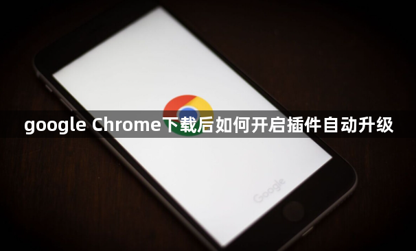 google Chrome下载后如何开启插件自动升级1