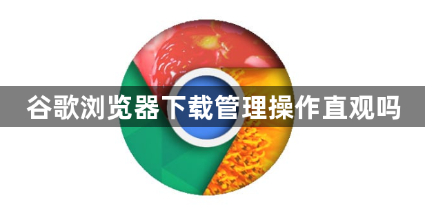 谷歌浏览器下载管理操作直观吗1