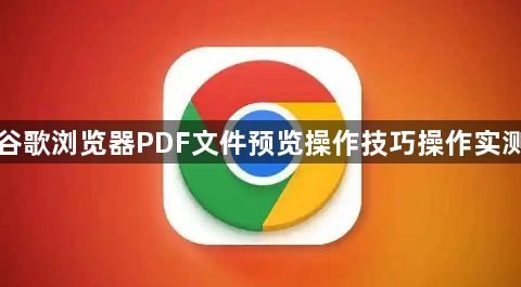 谷歌浏览器PDF文件预览操作技巧操作实测1