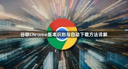 谷歌Chrome版本识别与自动下载方法详解1