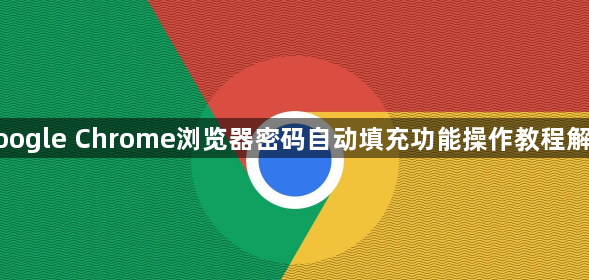 google Chrome浏览器密码自动填充功能操作教程解析1