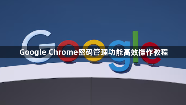 Google Chrome密码管理功能高效操作教程1