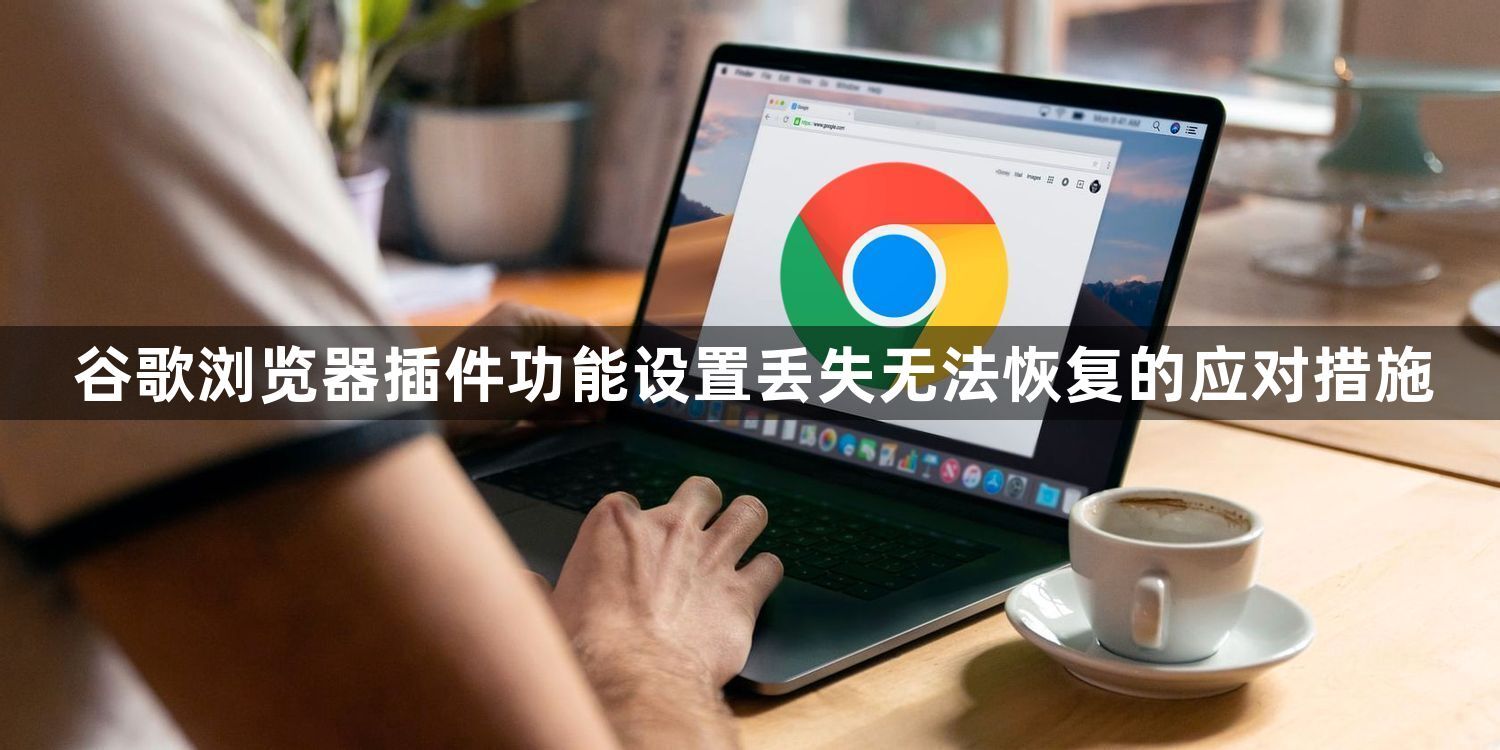 谷歌浏览器插件功能设置丢失无法恢复的应对措施1