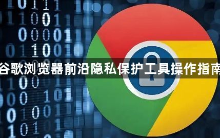谷歌浏览器前沿隐私保护工具操作指南1