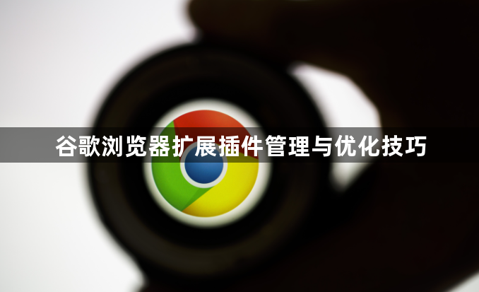 谷歌浏览器扩展插件管理与优化技巧1