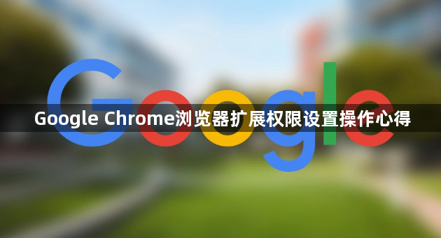 Google Chrome浏览器扩展权限设置操作心得1